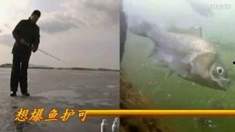 野钓大鱼视频,视频解析与经验分享