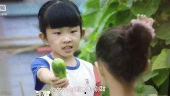 安雅萍吻戏视频,激情四溢的浪漫瞬间