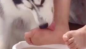 舔吊视频,网络热度的背后真相